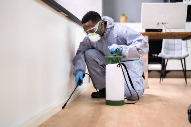 Best Indoor Pest Control  in Energy, IL